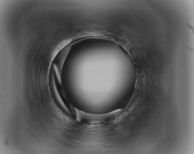 X0000097780104200803141816