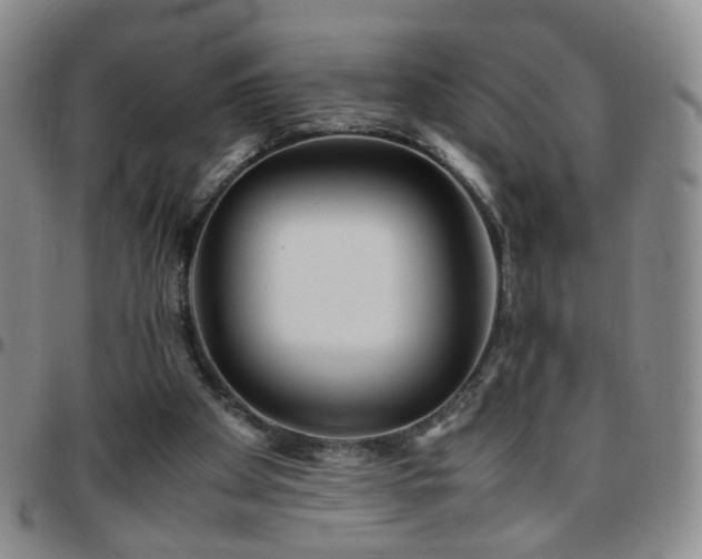 X0000097780105200803141816