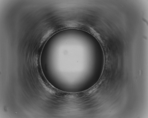 X0000097780106200803141816