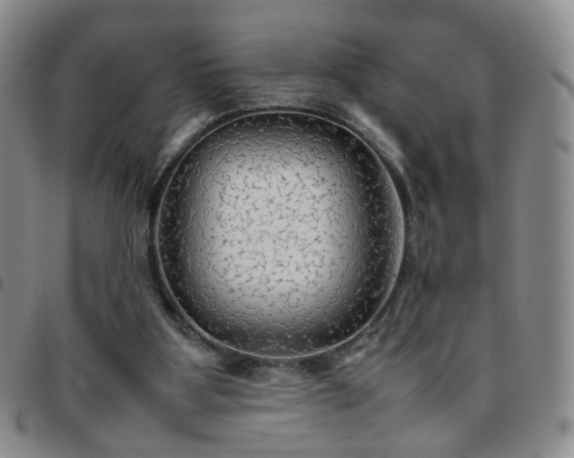 X0000097780107200803141816