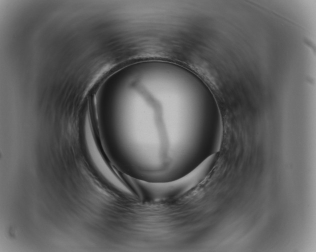 X0000097780108200803141816