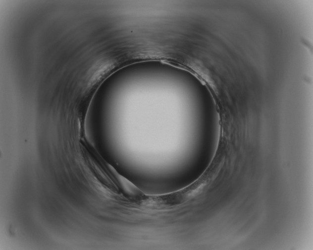 X0000097780109200803141816