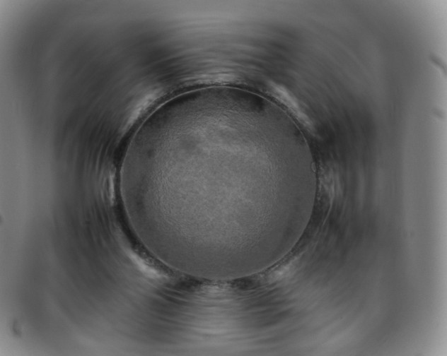 X0000097780110200803141816