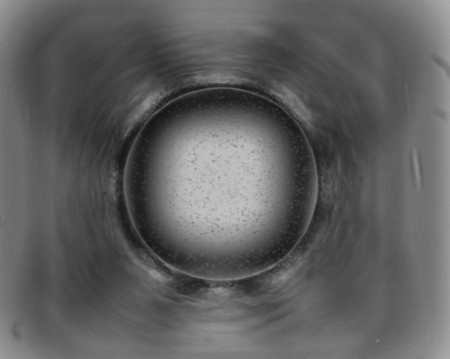 X0000097780111200803141816