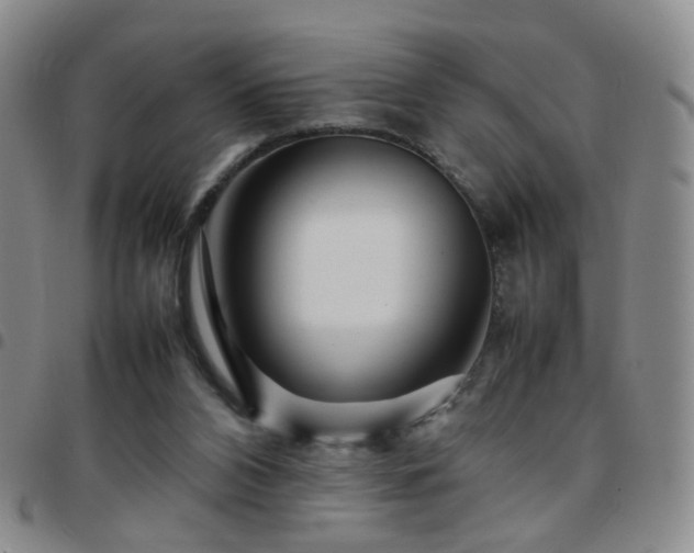 X0000097780112200803141816