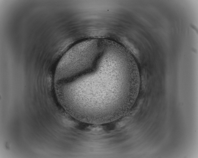 X0000097780113200803141816