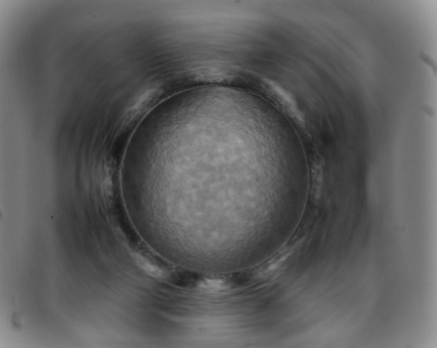 X0000097780114200803141816