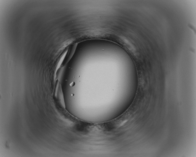 X0000097780115200803141816