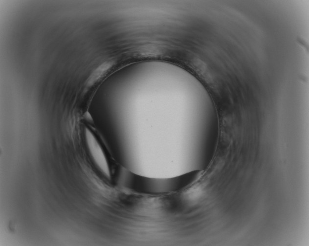 X0000097780116200803141816