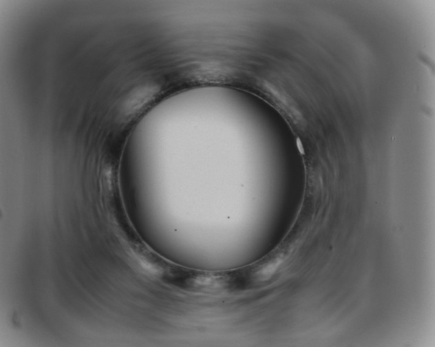 X0000097780117200803141816