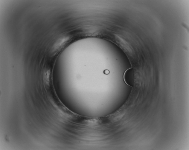 X0000097780118200803141816