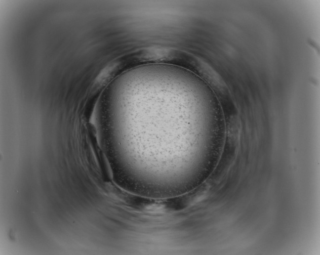 X0000097780119200803141816