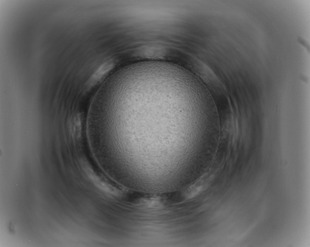 X0000097780120200803141816