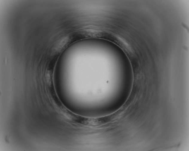 X0000097780121200803141816