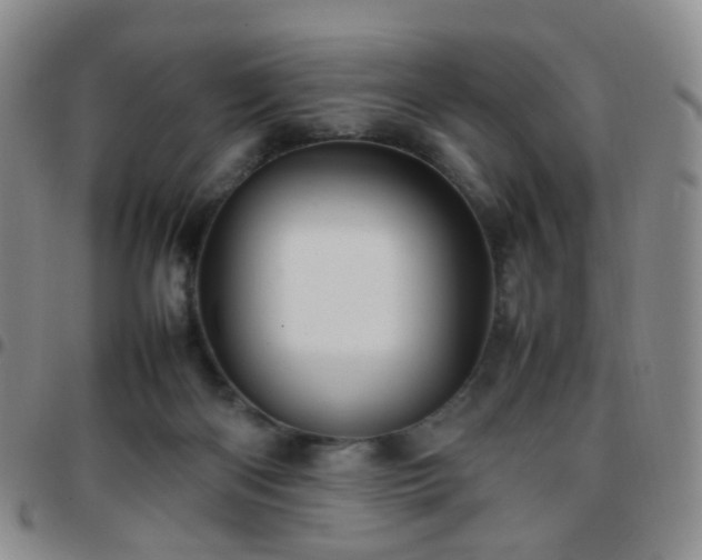 X0000097780122200803141816