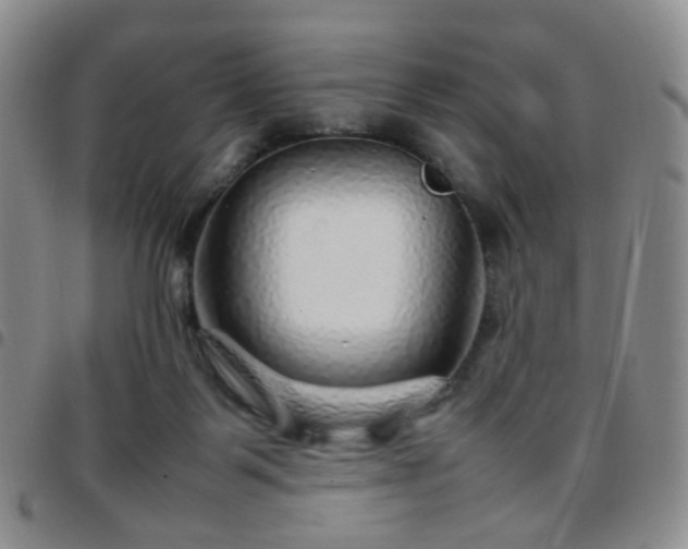 X0000097780123200803141816