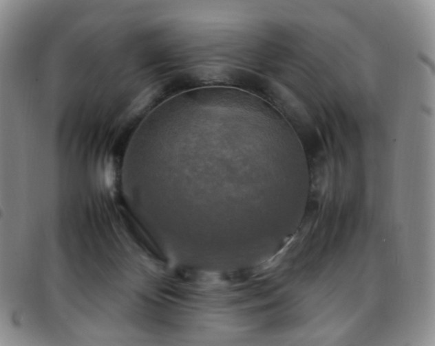 X0000097780124200803141816