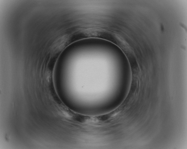 X0000097780125200803141816