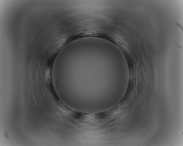 X0000097780127200803141816