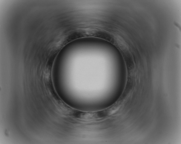 X0000097780129200803141816