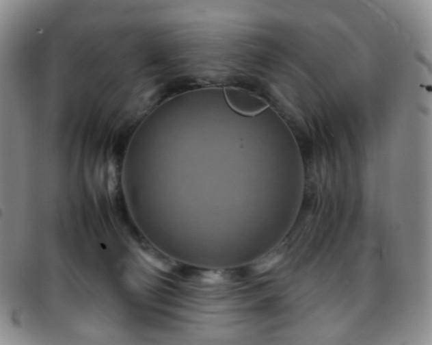 X0000097780130200803141816