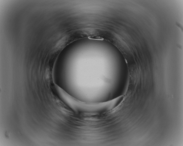 X0000097780132200803141816