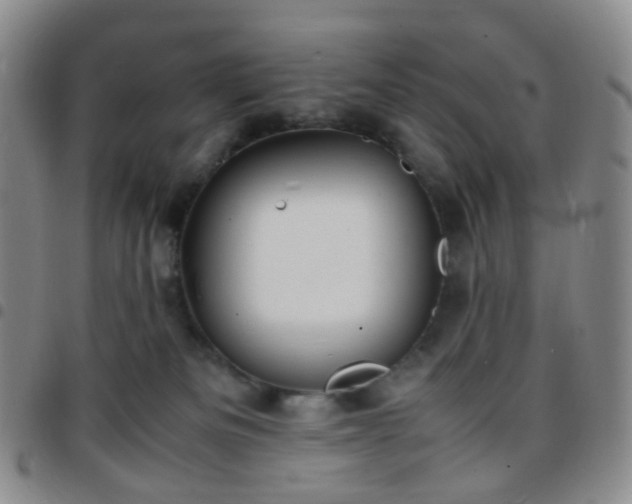 X0000097780133200803141816