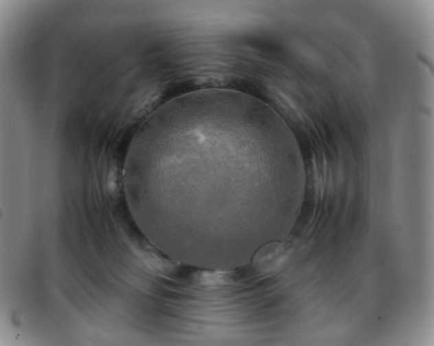 X0000097780134200803141816