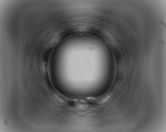 X0000097780135200803141816