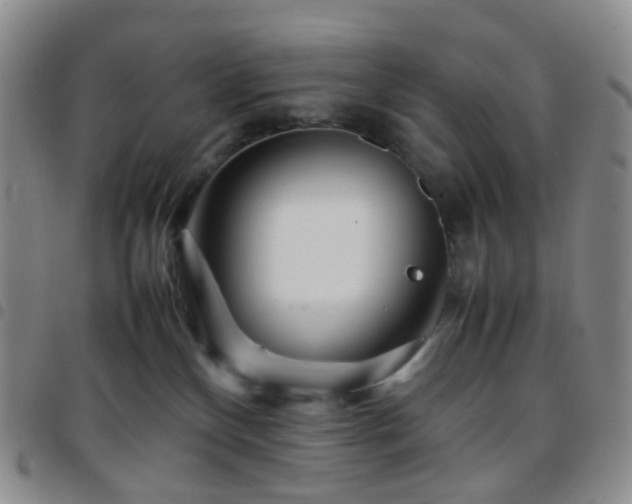 X0000097780136200803141816