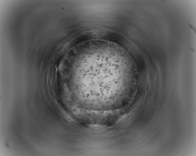 X0000097780137200803141816