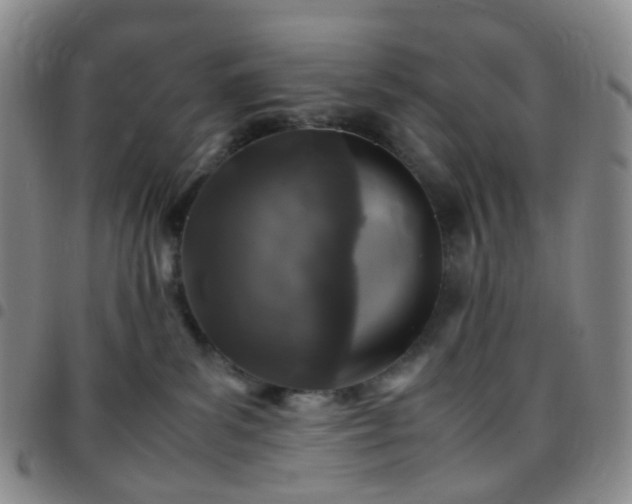 X0000097780139200803141816