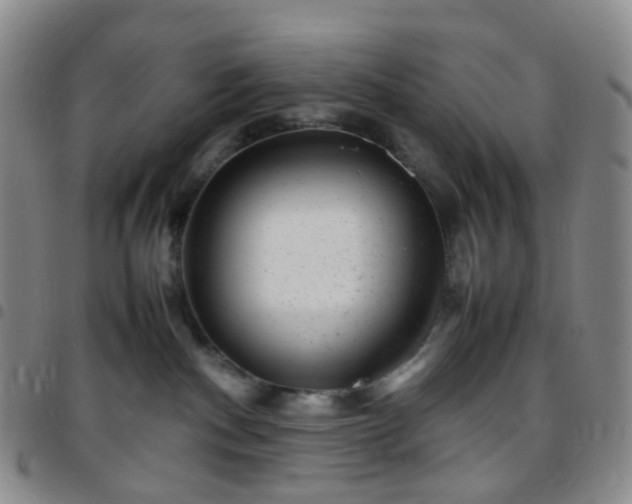 X0000097780140200803141816