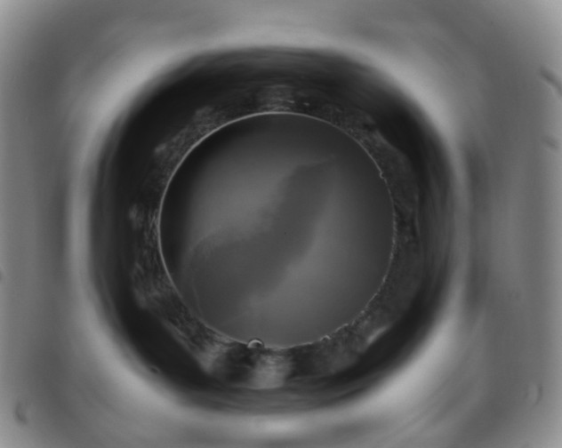 X0000097780143200803141816