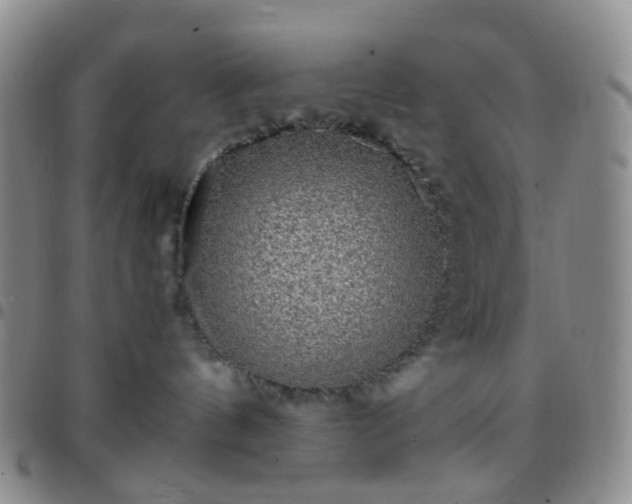 X0000097780144200803141816