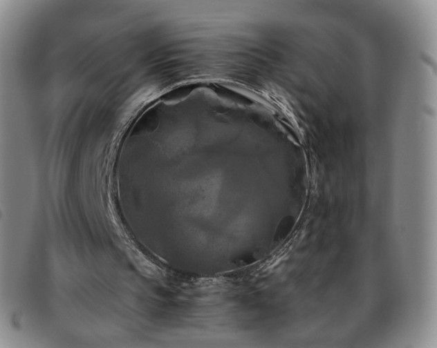 X0000097780145200803141815