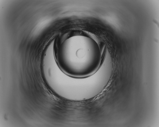 X0000097780146200803141815