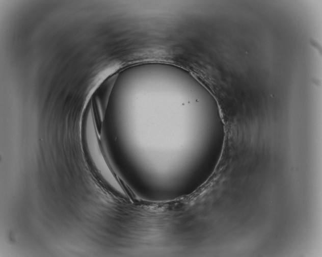 X0000097780148200803141815