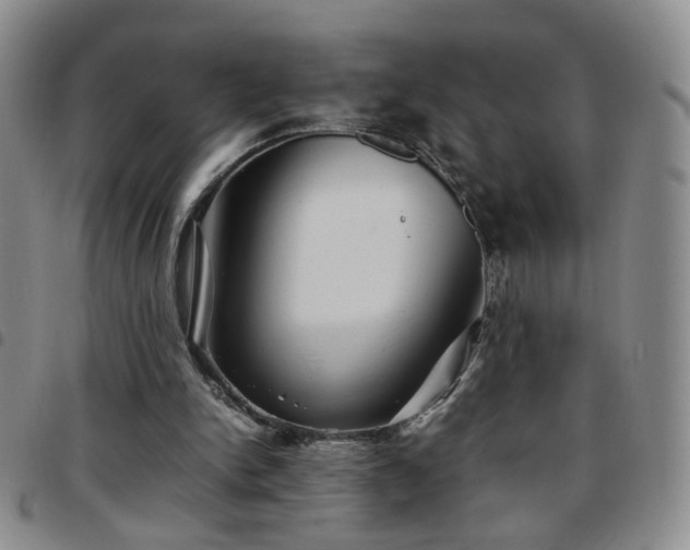 X0000097780150200803141815