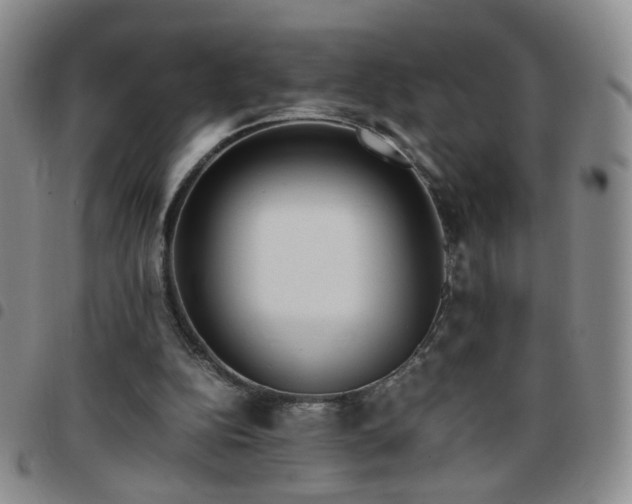 X0000097780152200803141815