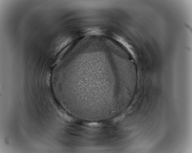 X0000097780153200803141815