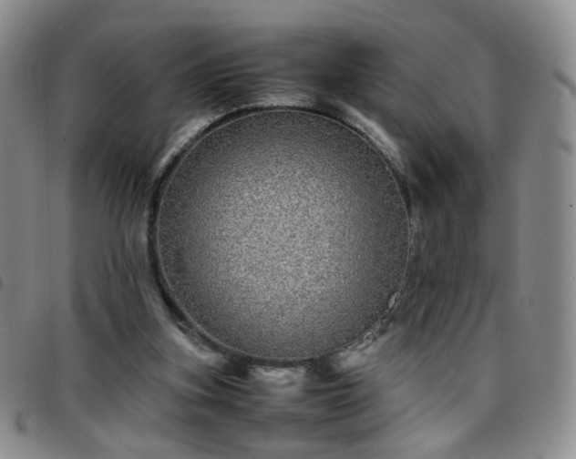 X0000097780155200803141815