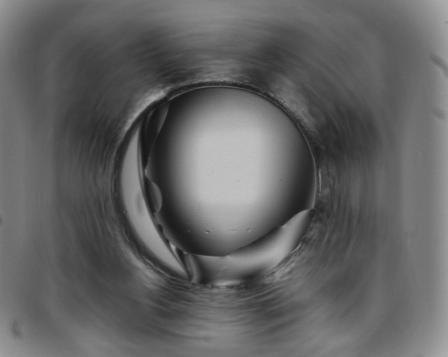 X0000097780156200803141815