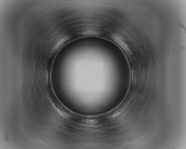 X0000097780157200803141815