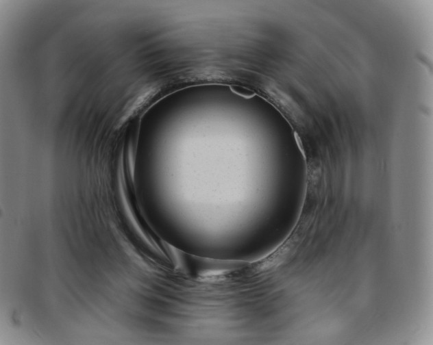 X0000097780158200803141815