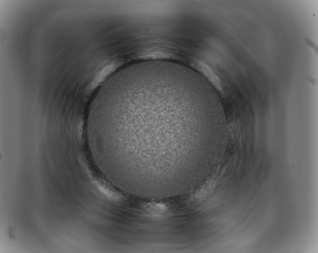 X0000097780159200803141815