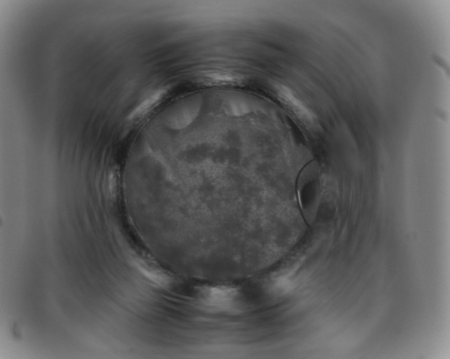 X0000097780165200803141815