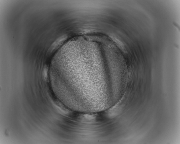 X0000097780166200803141815