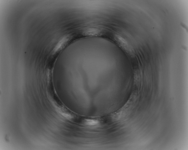 X0000097780167200803141815