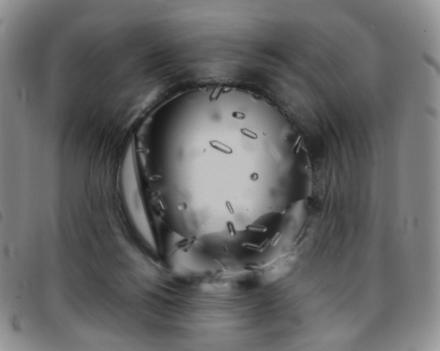 X0000097780168200803141815